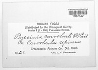 Image Associated With the Occurence